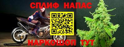 гидра Гусиноозёрск