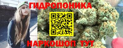 спиды Гусь-Хрустальный