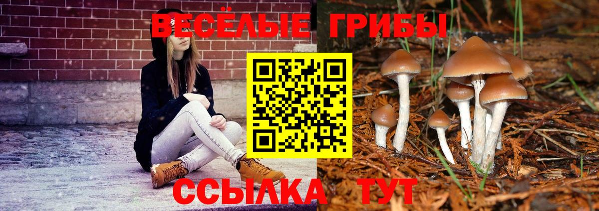 Псилоцибиновые грибы Cubensis  сколько стоит  Лангепас  Вход с VPN 